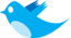 Follow us on twitter